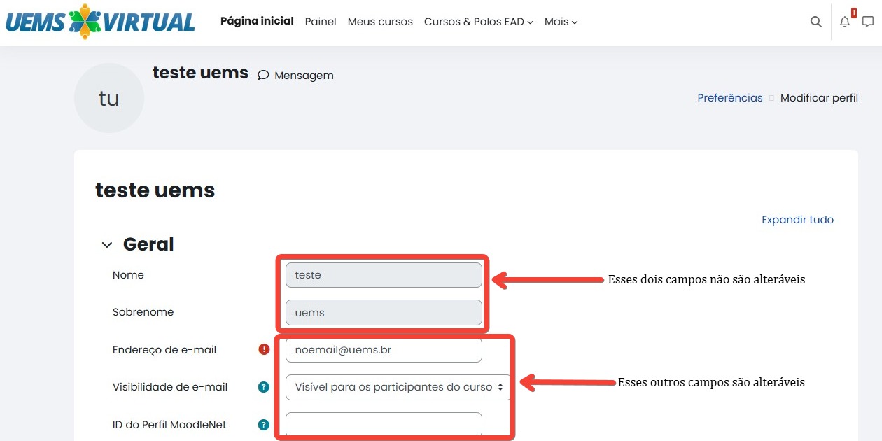 Tela inicial do Moodle