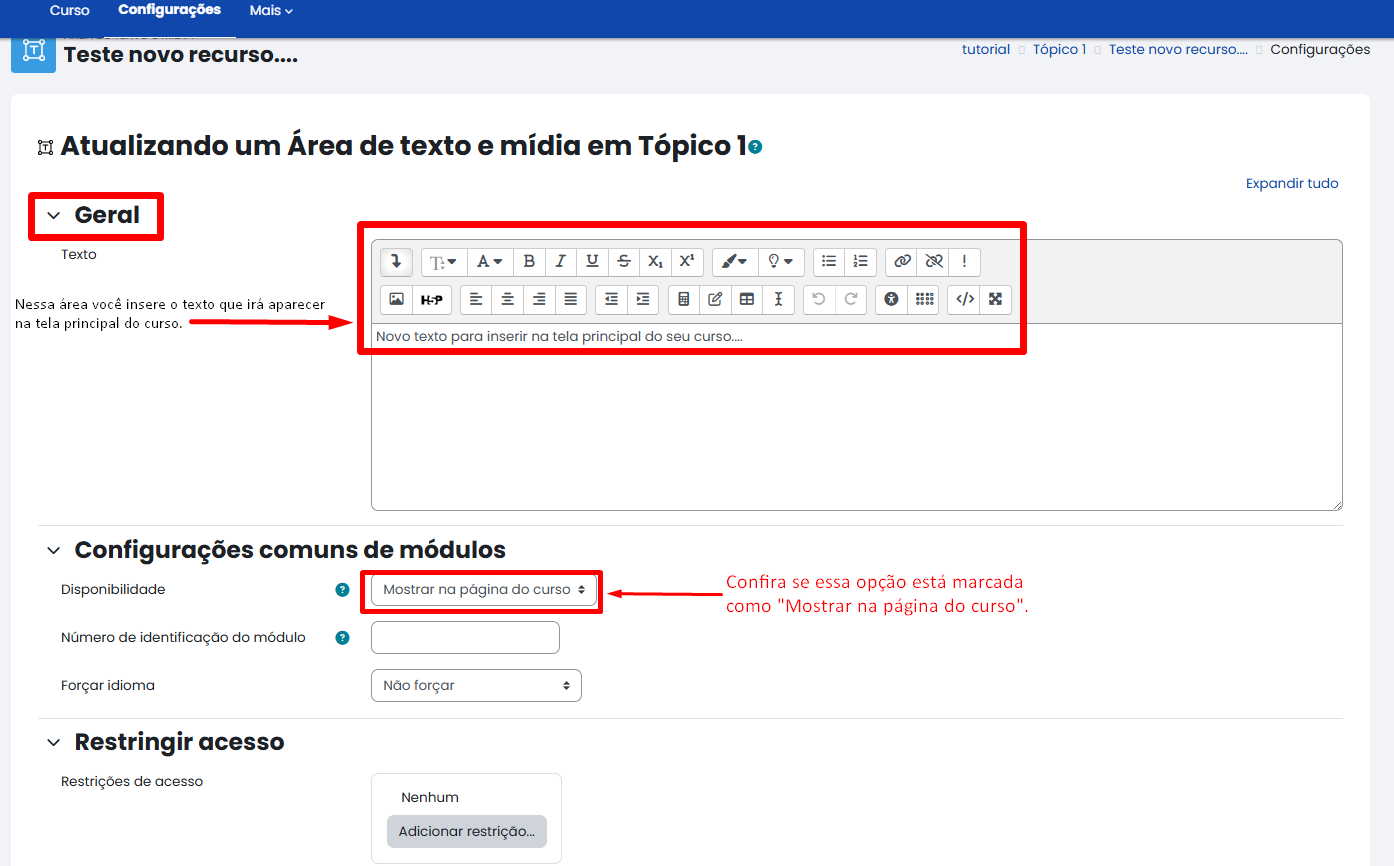 Tela inicial do Moodle