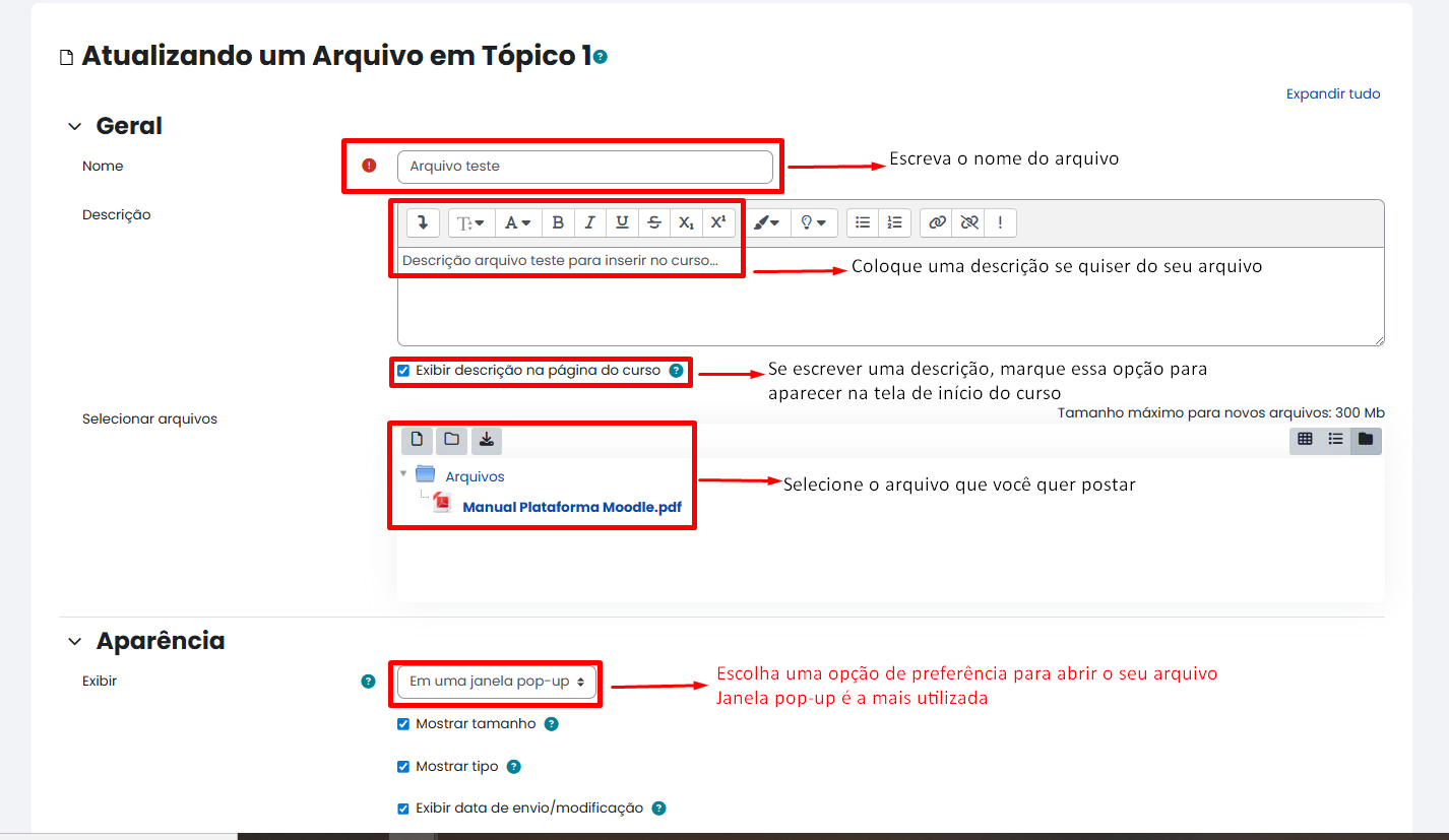 Tela inicial do Moodle