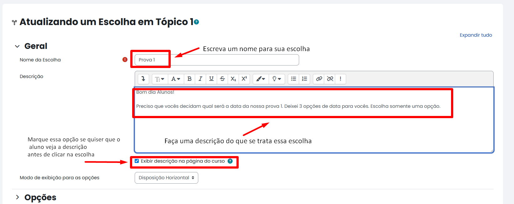 Tela inicial do Moodle