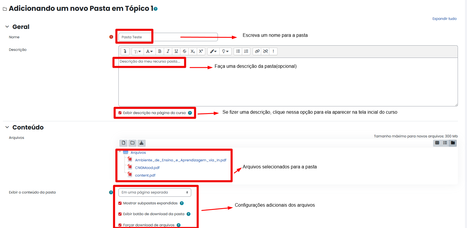Tela inicial do Moodle