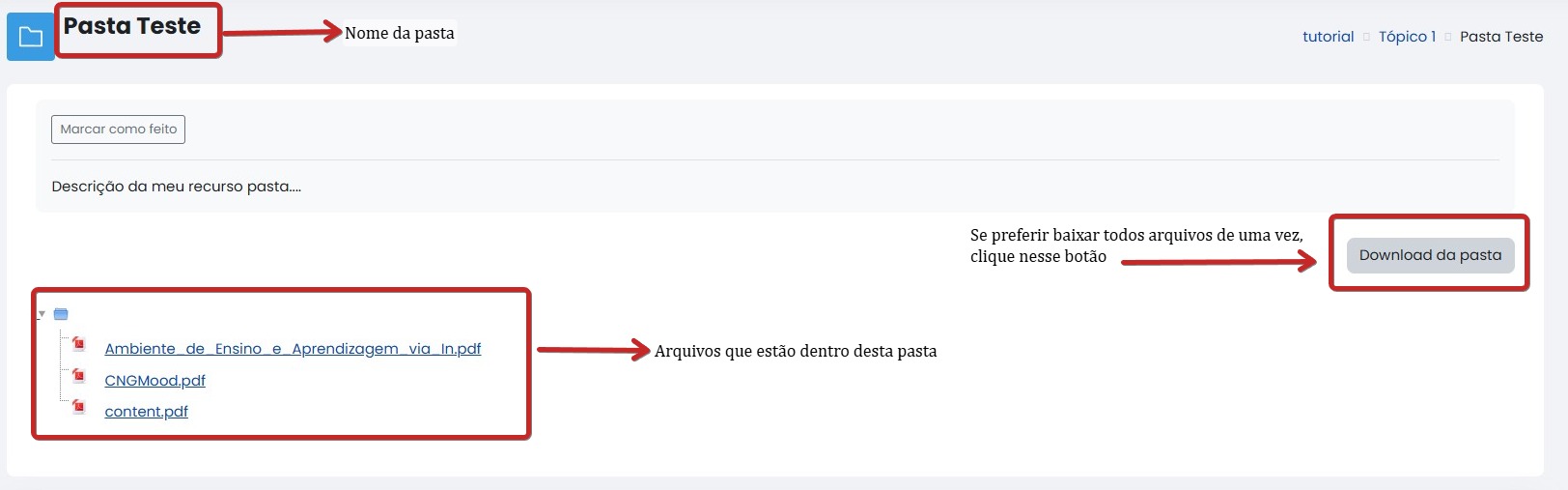 Tela inicial do Moodle