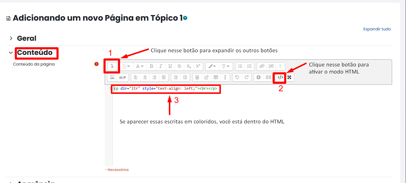 Tela inicial do Moodle