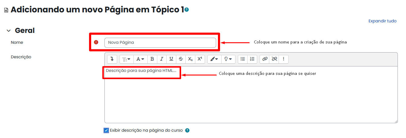 Tela inicial do Moodle