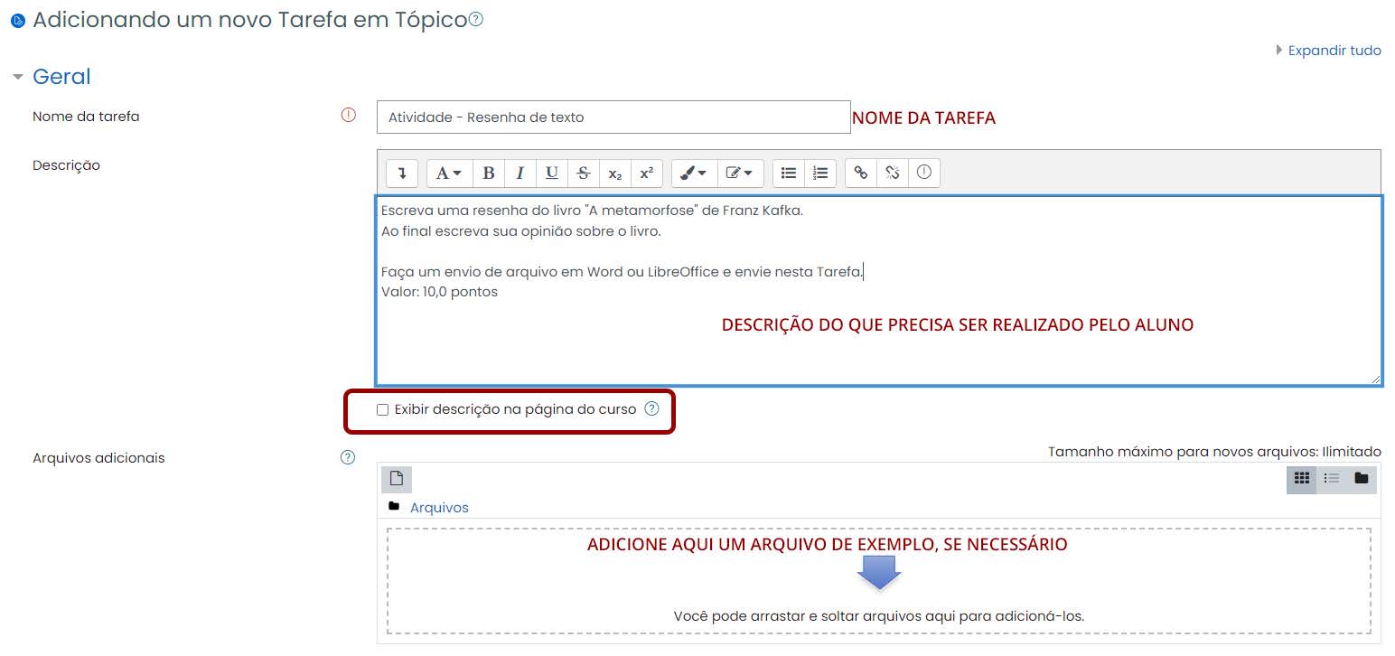 Tela inicial do Moodle