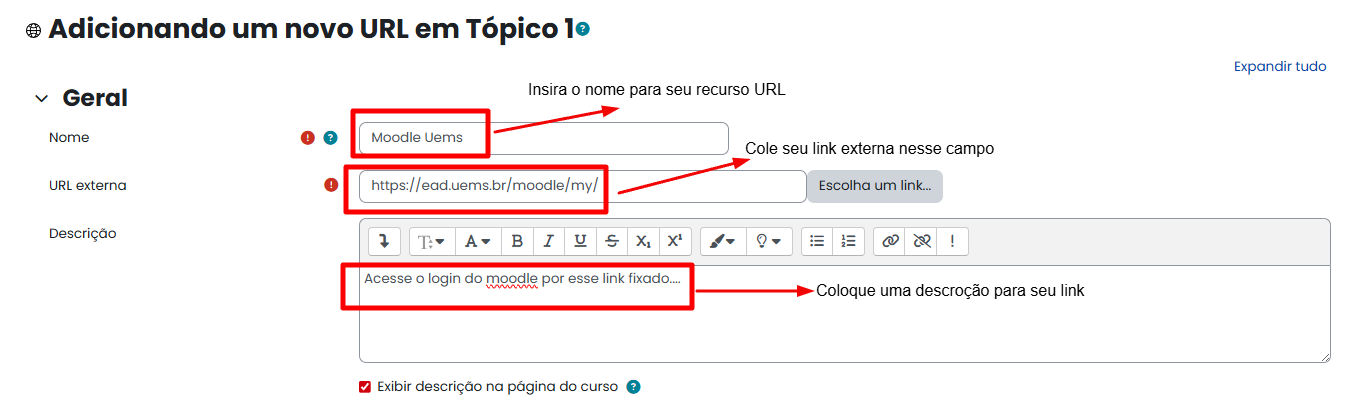 Tela inicial do Moodle