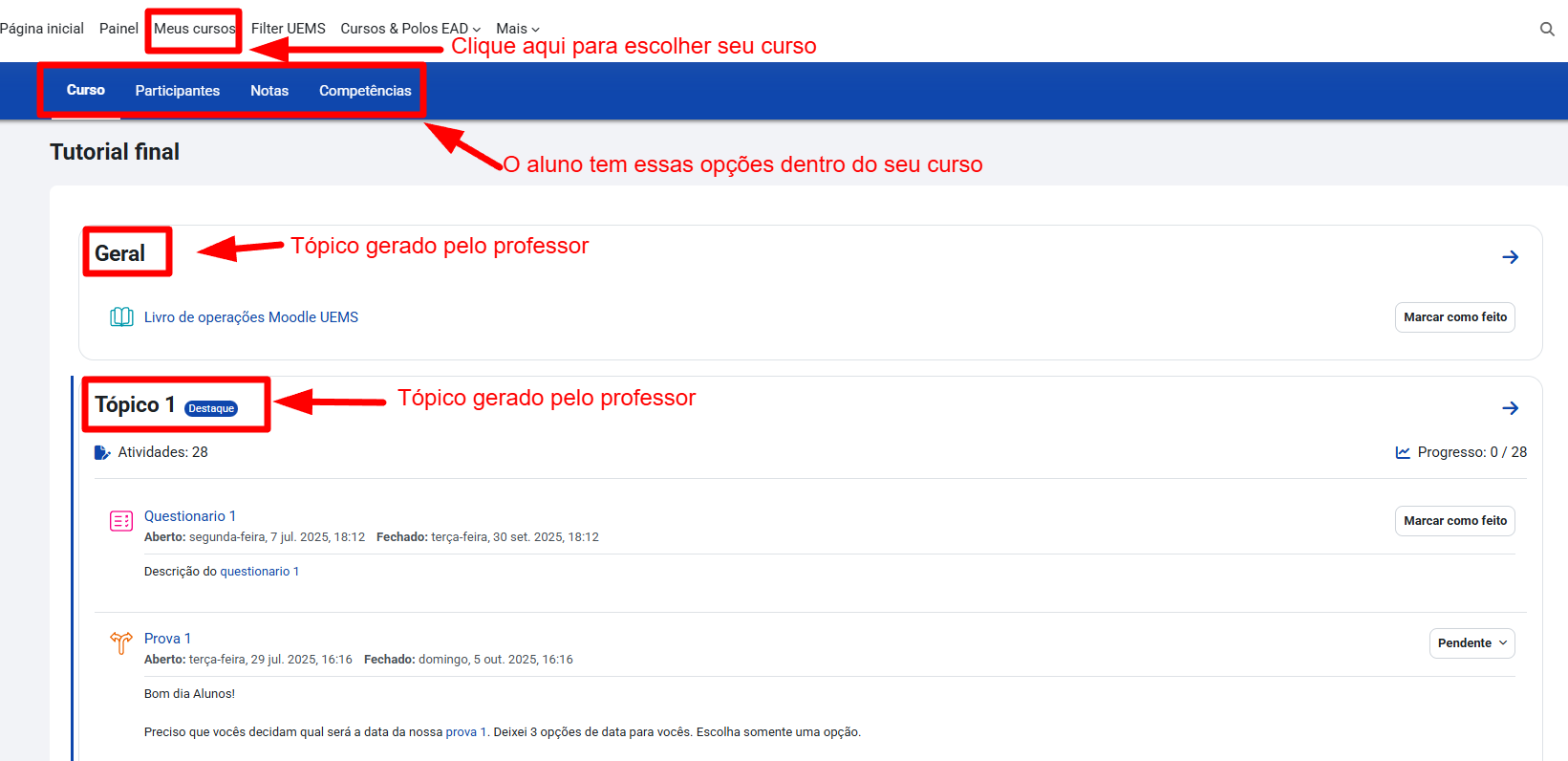 Tela inicial do Moodle