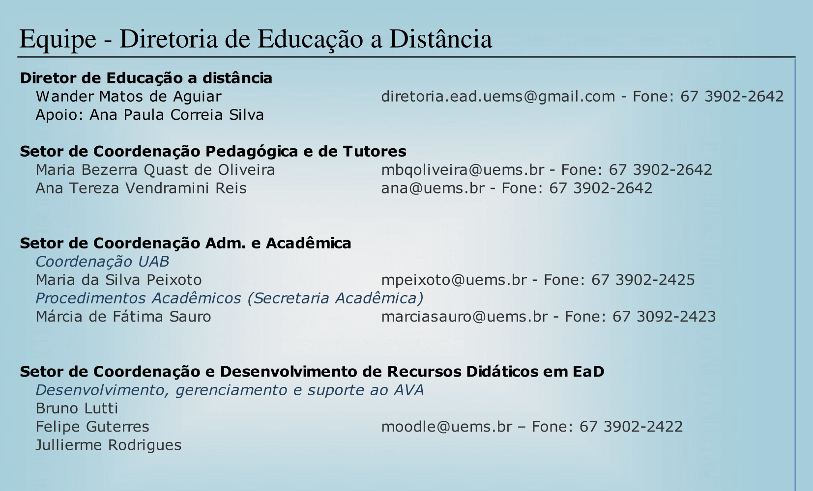 equipe da diretoria de educação a distância