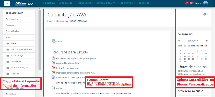 colunas da disciplina 