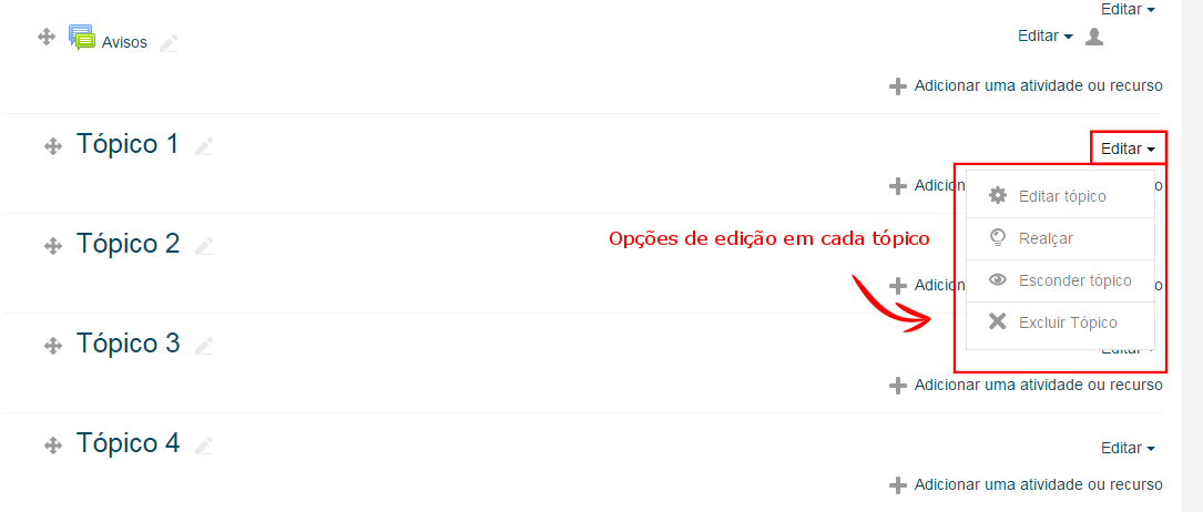 Opções de edição de cada tópico