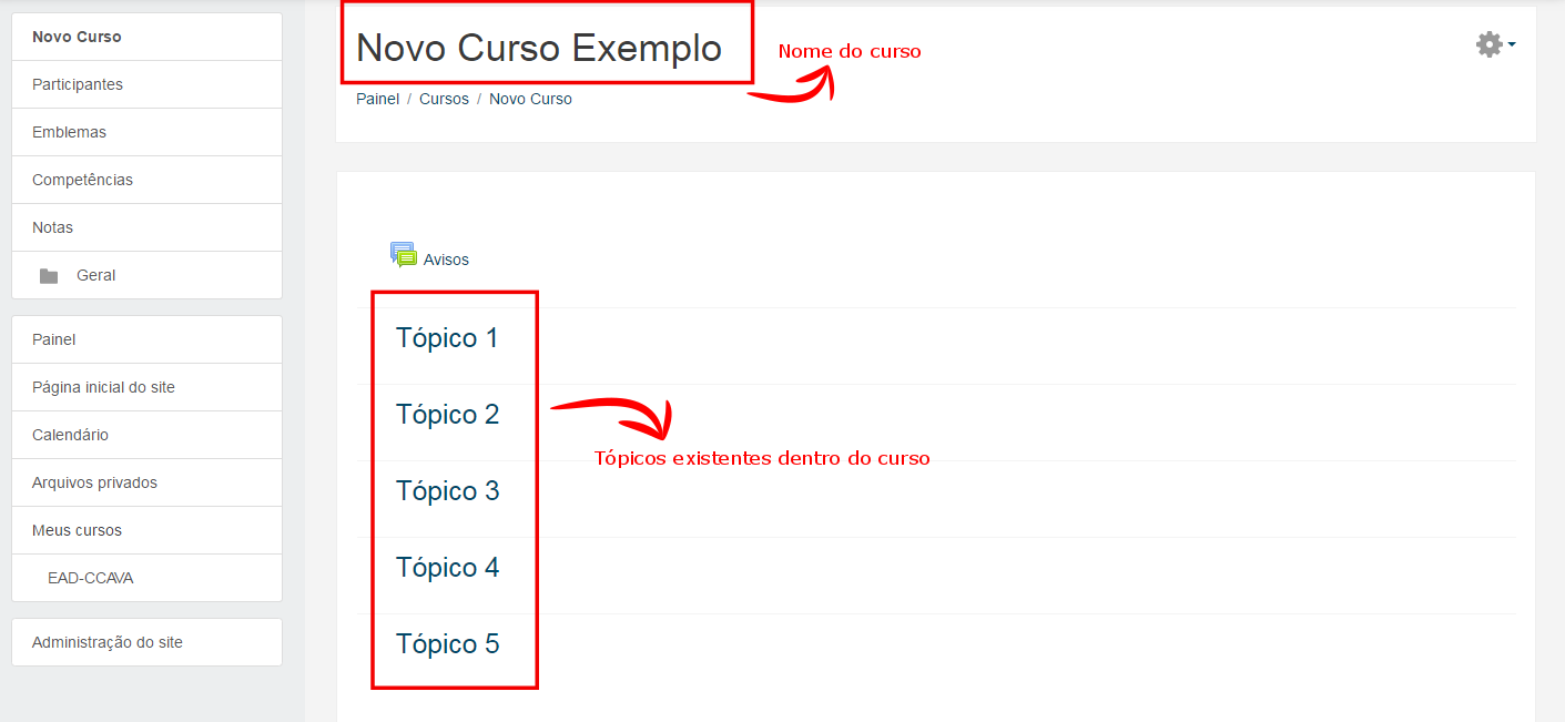 Primeira vez na página da disciplina
