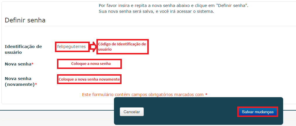 Para confirmar a nova senha e o código de identificação de usuário